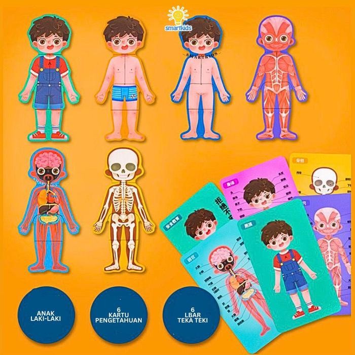 Mainan Edukasi Anak Body Structure Puzzle Kayu Belajar STEM Anatomi Struktur Tubuh Otot Organ DIY Pu