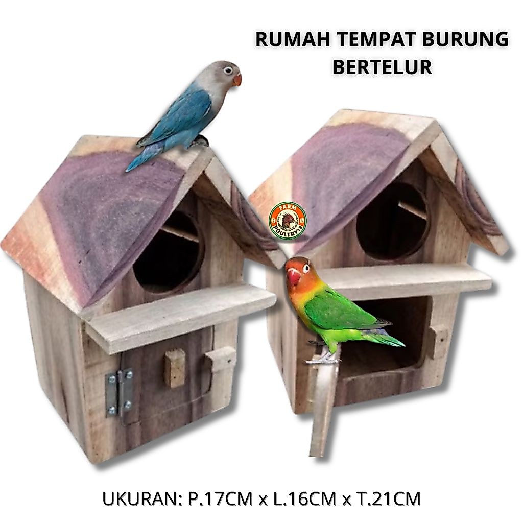 Glodok Burung Model Rumah Tempat Burung Bertelur Burung lLove Bird Burung Kenari Burung Parkit Glodo