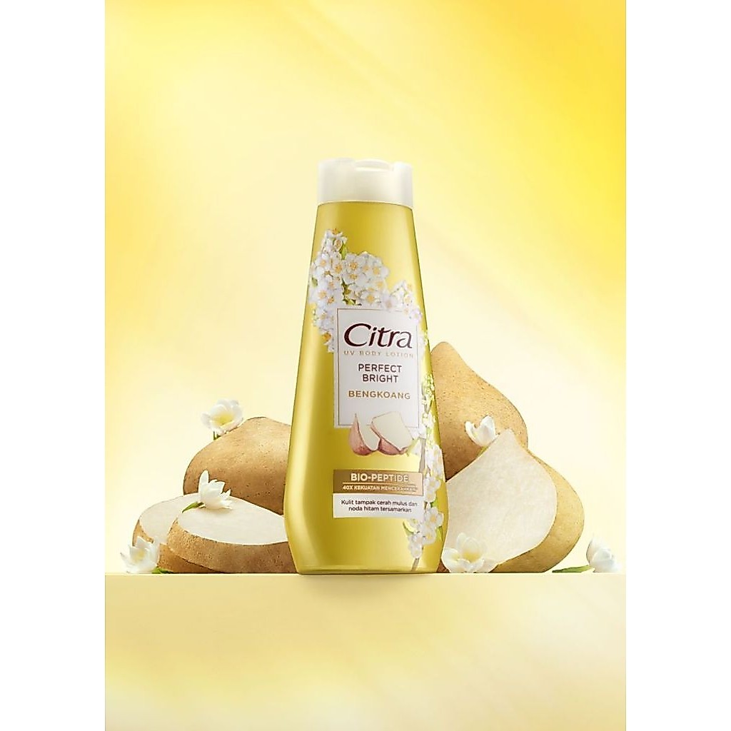 Hilwana Kosmetik - Citra UV Body Lotion Perfect Bright Bengkoang