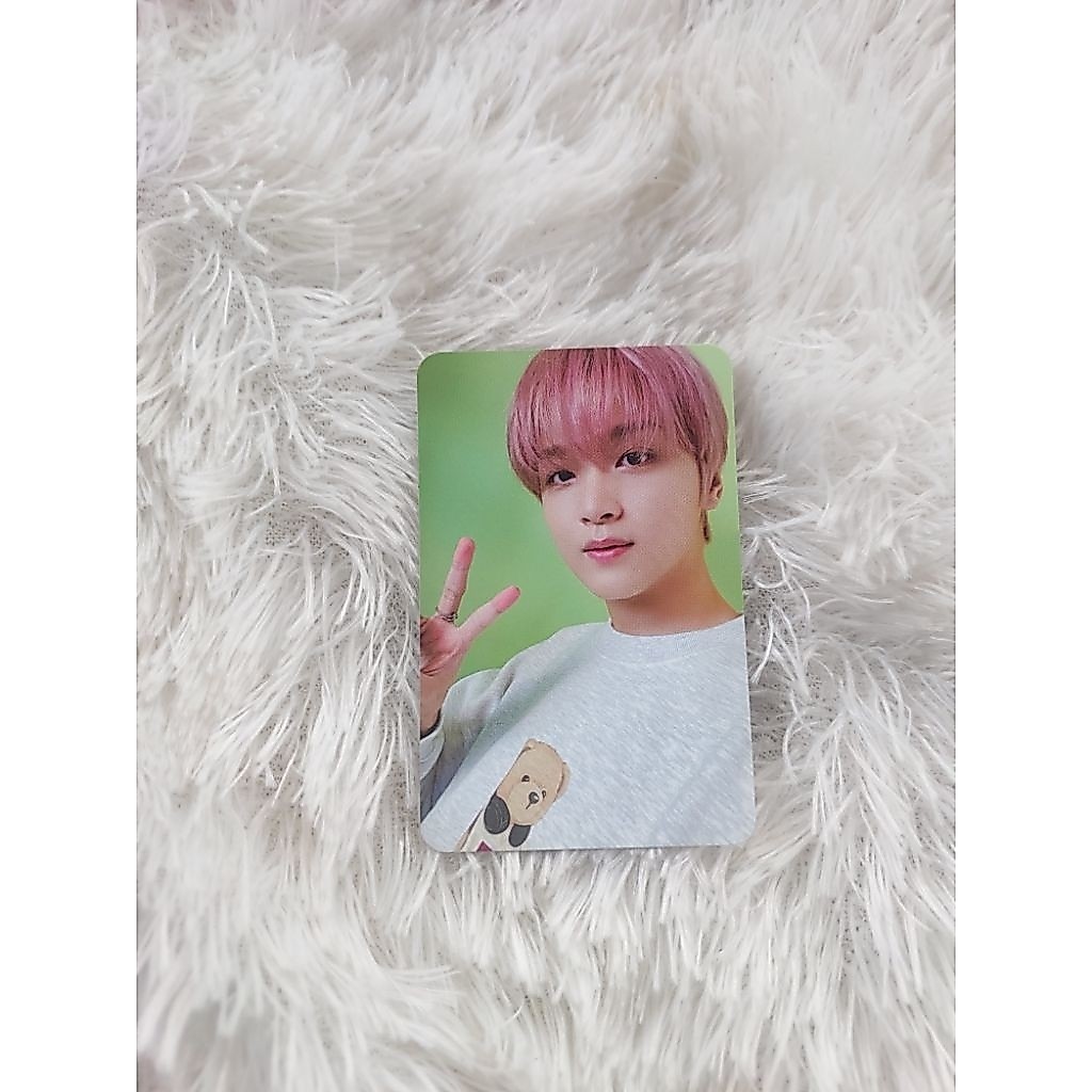 NCT Haechan Slowacid Teddy Hoodie Official Photocard