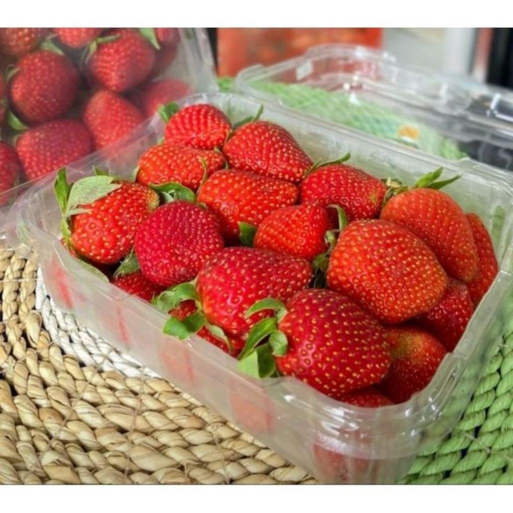 

Strowbery mika kemasan 250gr Surabaya instan