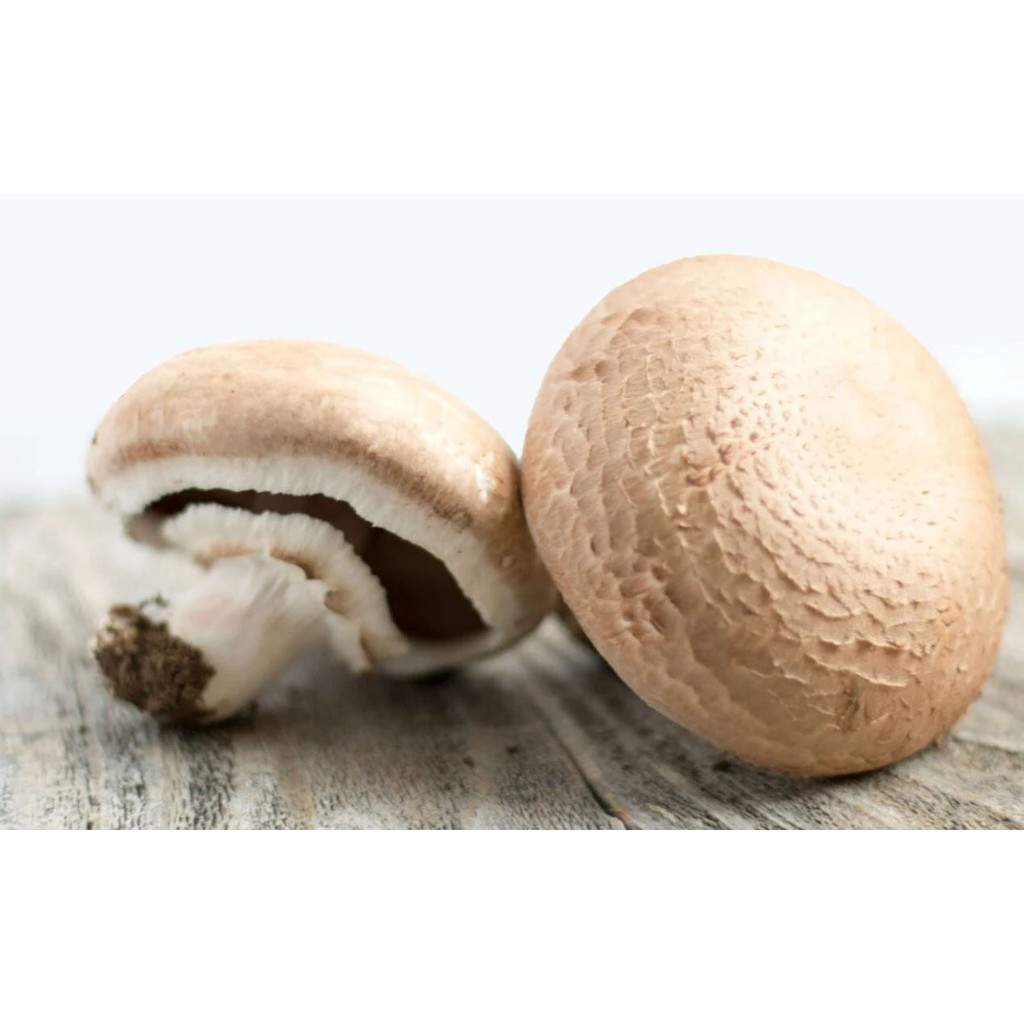 Jamur Portobello Impor 1 pack Sayurbox