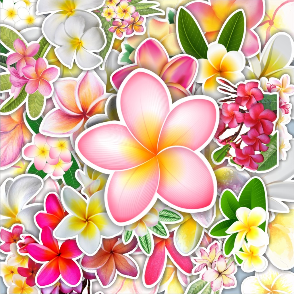 

100PCS Lucu Stiker Plumeria Rubra Flowers [Bunga Kamboja] Stiker Aesthetic Stiker Anti Air Stikers Berperekat Waterproof sticker decal buat Motor Helm Buku Journal Koper Casing HP Laptop Botol Minum Hadiah anak