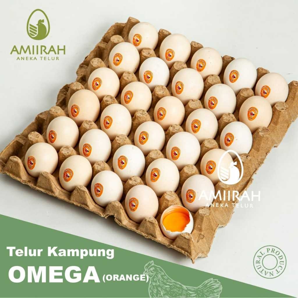 

NEW TELUR AYAM KAMPUNG OMEGA ASLI 30 BUTIR / TELUR KAMPUNG OMEGA 30 BUTIR ASLI