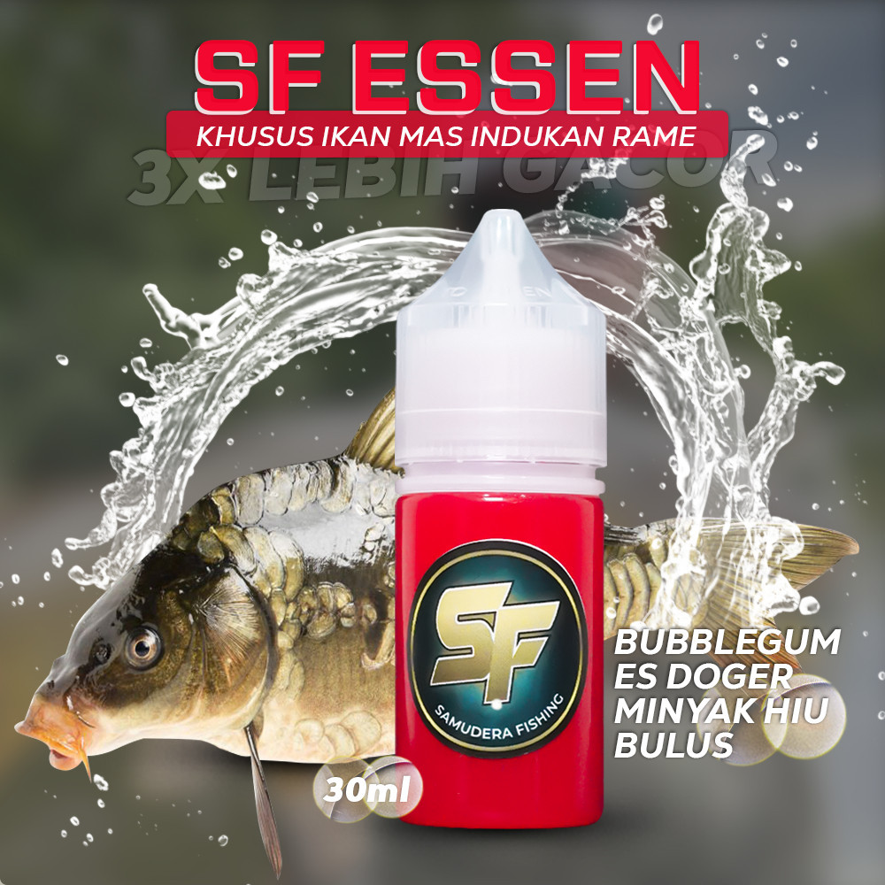 SF Essen Ikan Mas Indukan Rame Aroma Doger Bubblegum Bulus Gacor Untuk Siang Malam