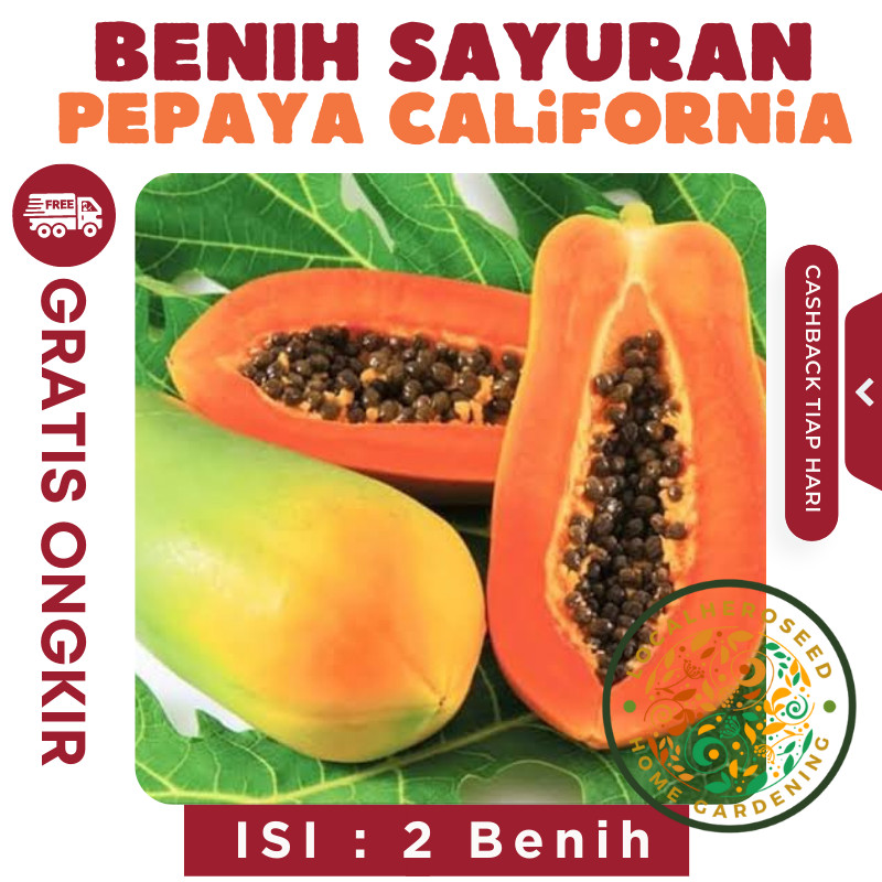 30 Benih Pepaya California F1 Calina IPB - Bibit Buah Kalifornia Unggul Berkualitas
