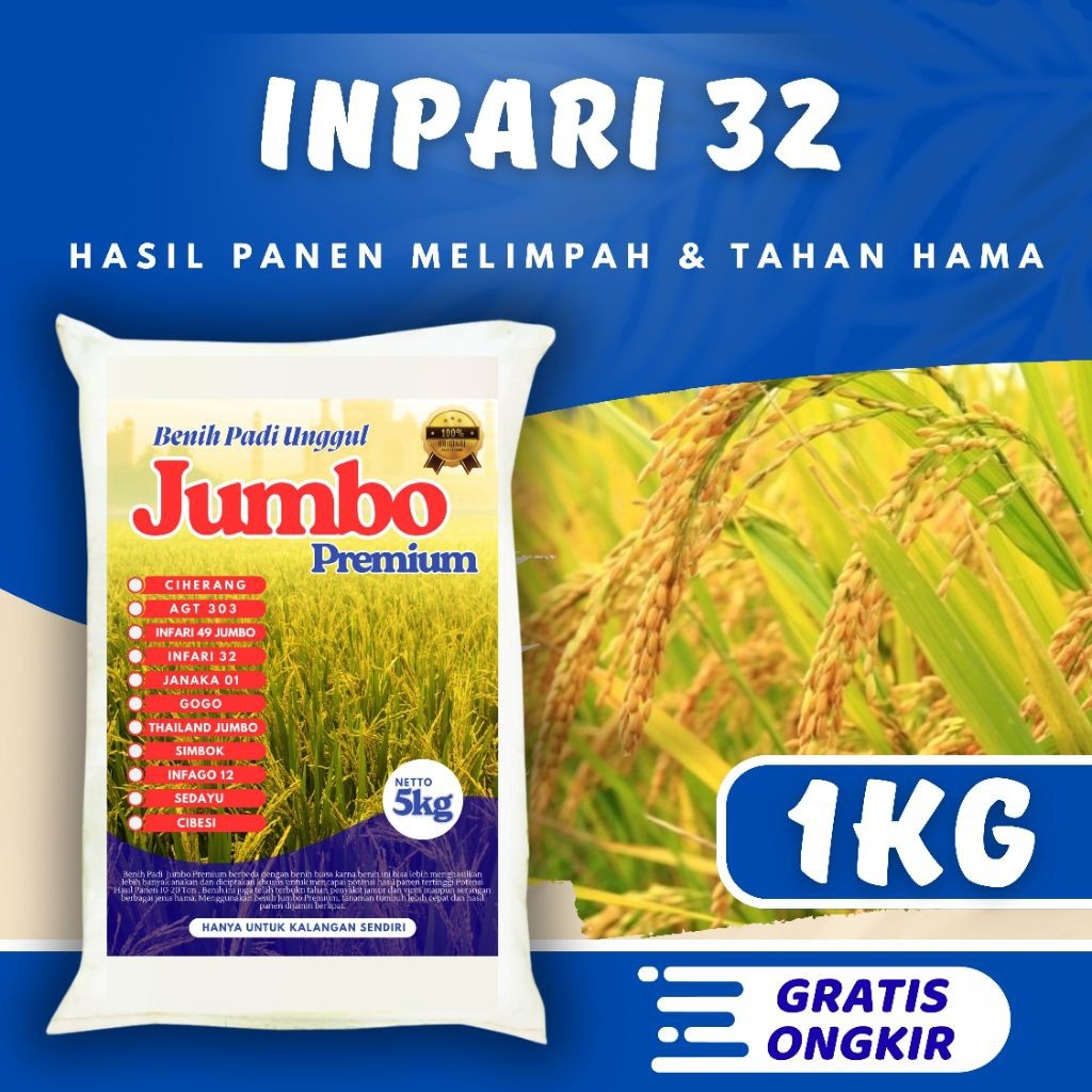 Benih padi unggul inpari 32 kemasan 1kg original Berkualitas / Anti Hama / Anti Roboh - SRI JAYA FAR