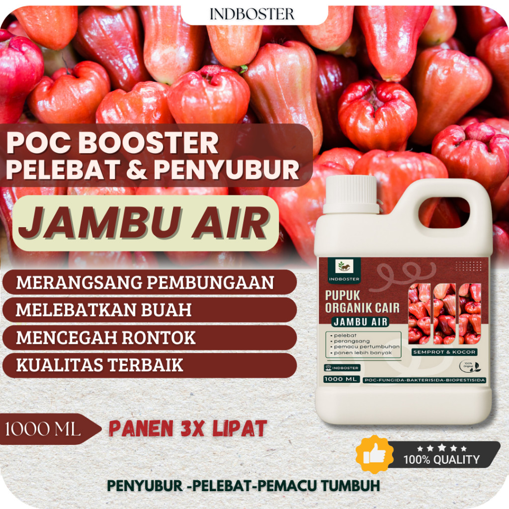 Jambu Air Booster / Pupuk Booster Jambu AIr / Pupuk Pelebat Buah Jambu Air / Pupuk Pelebat Organik P