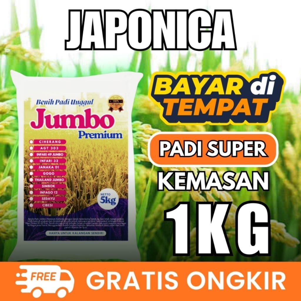 Benih Padi Jepang Japonica Kemasan 1kg Original