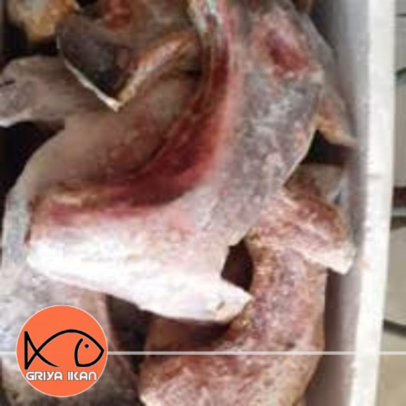 

New RAHANG TUNAPremium