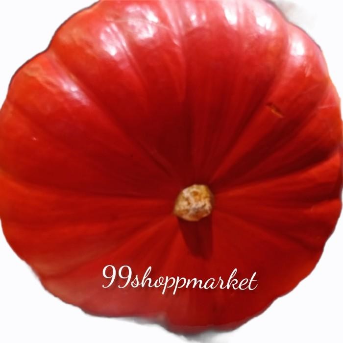 

Pumpkin fairy tail -+ 5 kg / pics
