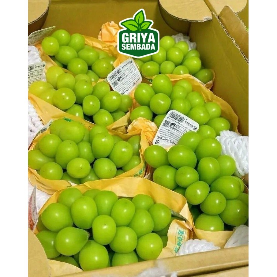

Instant Anggur Shine Muscat FY 1 Dus 5,2 Kg Per Box Keranjang Fresh Griya Sembada Griya Sembada