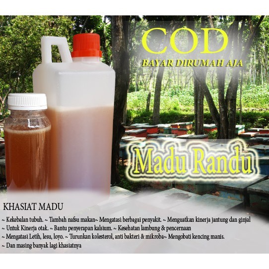 

Madu Randu Asli - 100% Madu Murni Asli 1kg