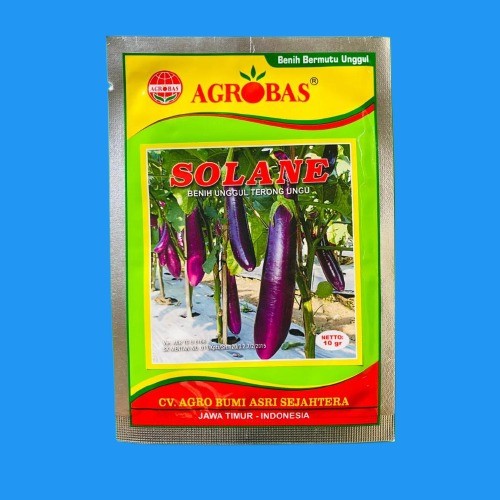 Benih Terong Ungu benih unggul SOLANE isi 10gr dari agrobas