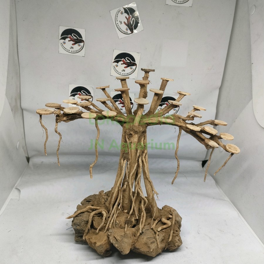 Tebing Kayu Akar Bonsai Beringin singel Hiasan Aquarium Aquascape