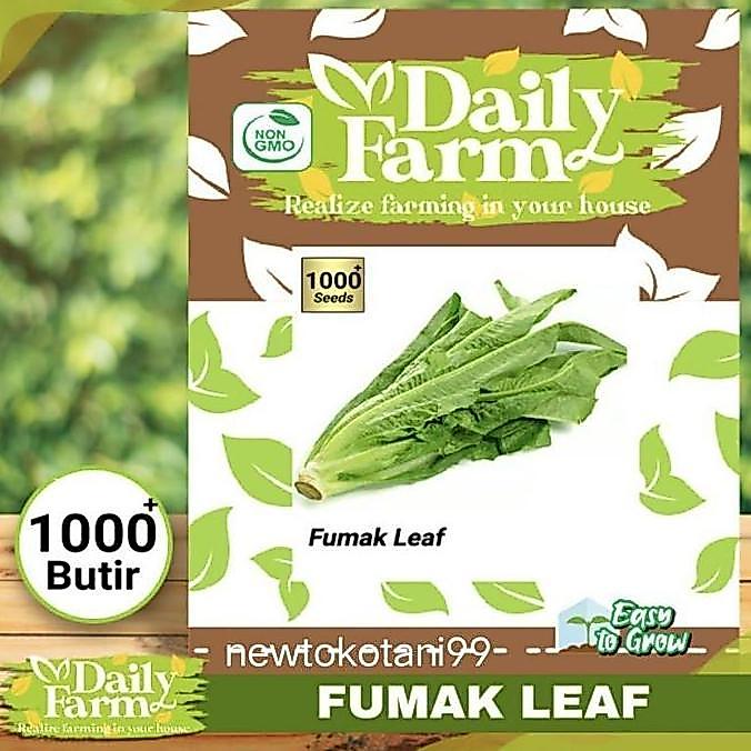 Promo Benih Selada Wangi Fumak 1000 Butir Sayur Fumak Dari Daily Farm Cod