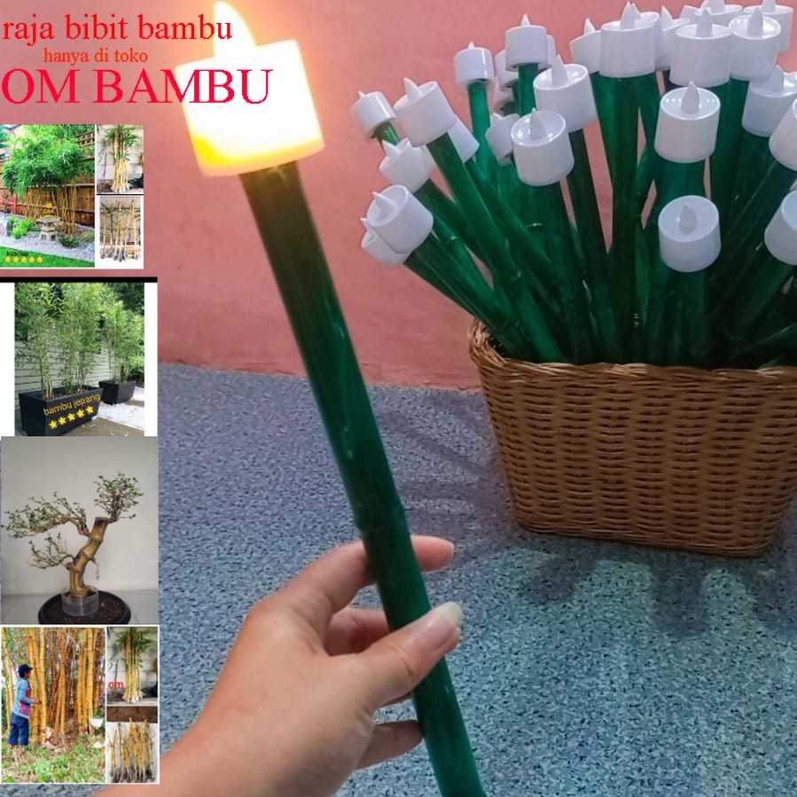 

obor murah / obro elektrik / obor anak / obor lebaran idul fitri / obor untuk anak anak / obor /obor elektrik/obor batrai / obor lucu / obor unik / obor untuk hari raya / hari raya idul fitri / amplop lucu / amplop viral 2024