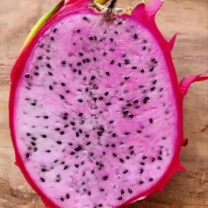 

Buah naga daging buah pink- buah naga delight pink super fresh 1 kg-dragon fruit pink