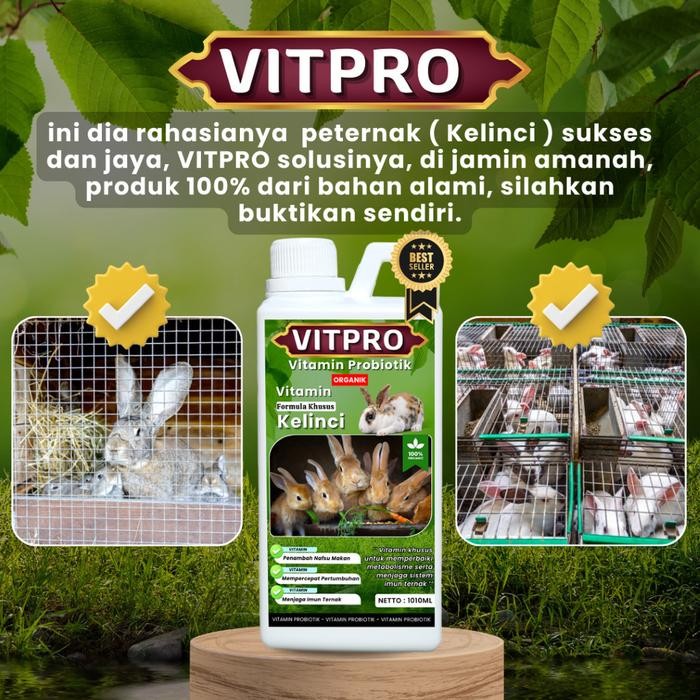 Vitamin Probiotik Vitamin Suplemen Kelinci Hias Anggora Fuzzy Lop Holland Netherland Dwarf Kelinci M