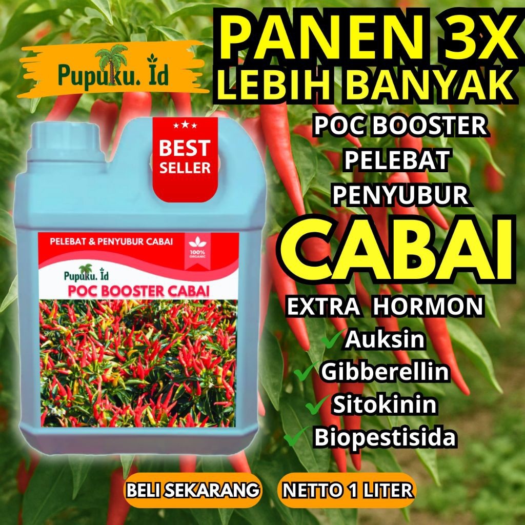 Saji.ID | Pupuk booster cabai perangsang bunga dan pelebat buah anti rontok | pupuk pertumbuhan caba