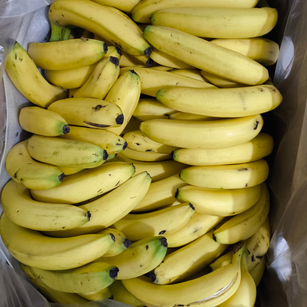 Pisang cavendish Sunpride 1 dus 13 kg