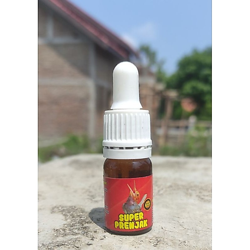 super prenjak. penggacor burung prenjak macet jadi gacor