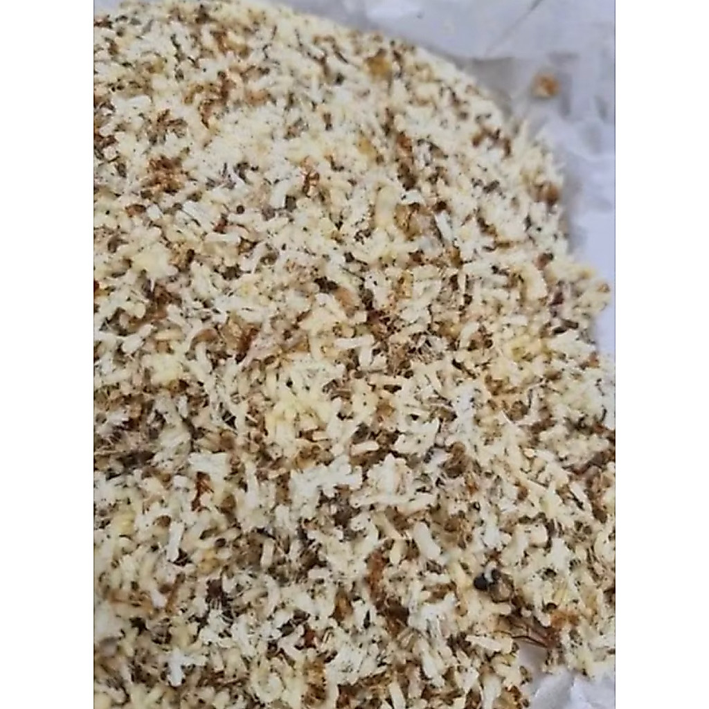 kroto telur semut rangrang ganggang pakan hewan burung ikan