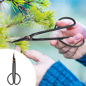 Bonsai Tools Kit- 24 PCS Bonsai Tree Kit Tools for Beginners,  Complete Set for Bonsai Tree Care, Pr