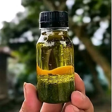 alvino daun biyak papua 100% original kemasan 60 ml