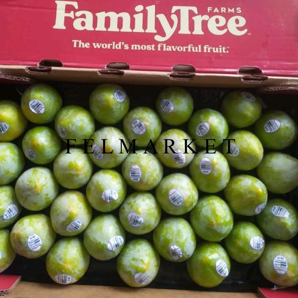 

Buah Plum Green Golden Import USA / Buah Plum Hijau Import / 1 Kg