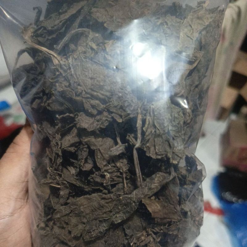 

Daun Ungu Kering Asli Obat Mujarab Wasir & Ambeien