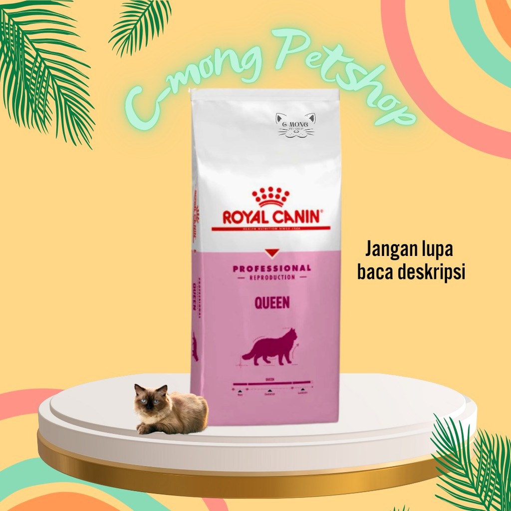 Royal Canin Professional Queen (SP) untuk Induk Kucing Hamil Menyusui
