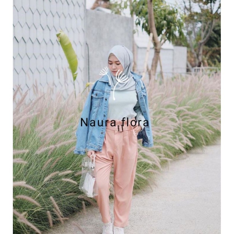 Tanaman hias ekor kuda - rumput ekor kuda putih - alang alang putih