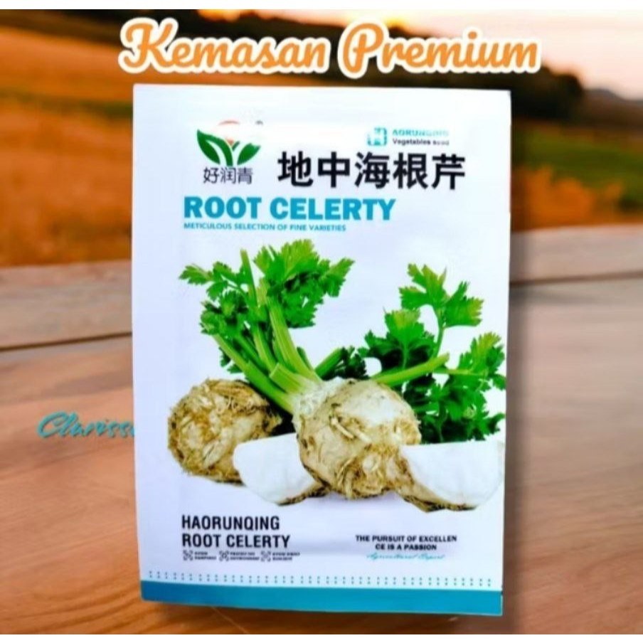 Benih seledri praha isi 2000 benih /BIJI/BENIH ROOT CELERTY | SELEDRI UMBI IMPORT BEST SELLER | EG