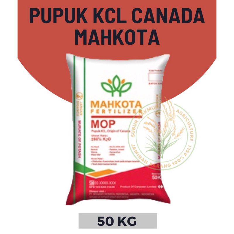 Pupuk KCL Canada 50kg (GoSend Only)