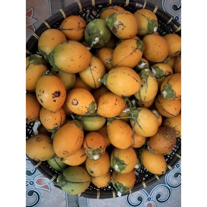 Buah pinang buah Jambe pinang Batara pinang wangi pinang tua segar 1kg