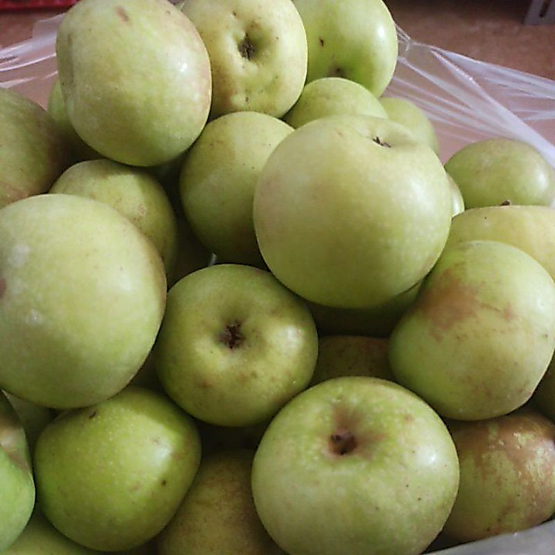 Buah Apel manalagi 1kg