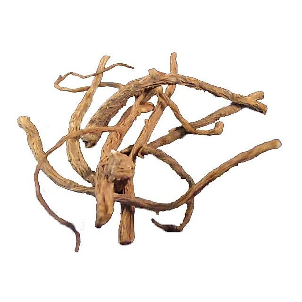 100gr  dang gui wei premium dang gui yi ekor angelica sinensis oliv