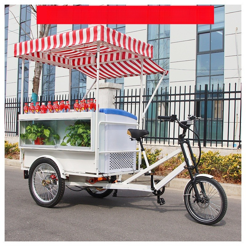 New Arrive Mobile Gelato Cart 3 Wheel Ice Cream Bike for Sale Freezer Ice Cream Carts With Long Cano