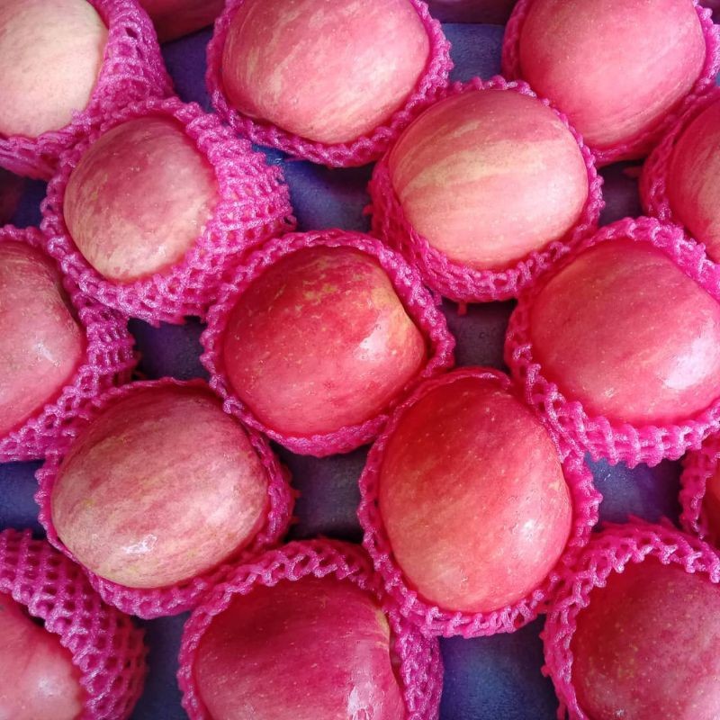 

1KG APEL FUJI JUAL APEL FUJI MALANG MURAH GRATIS ONGKIR