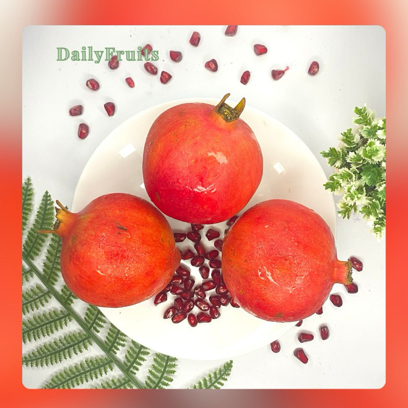 

Buah Delima Import India Super Best Seller (1 PCS) | DailyFruits