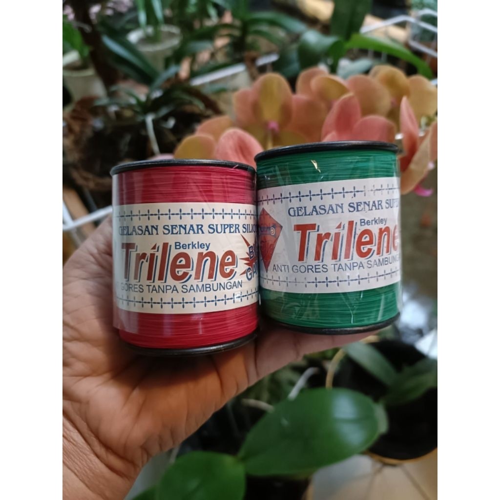 senar layangan trilene tanggung berar