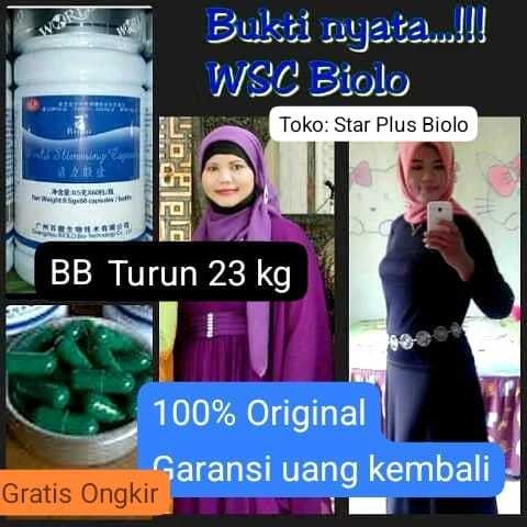 TERLARIS Wsc Biolo Import Original  (BISA BELI ECER) Pelangsing Biolo Distributor resmi Herninababan