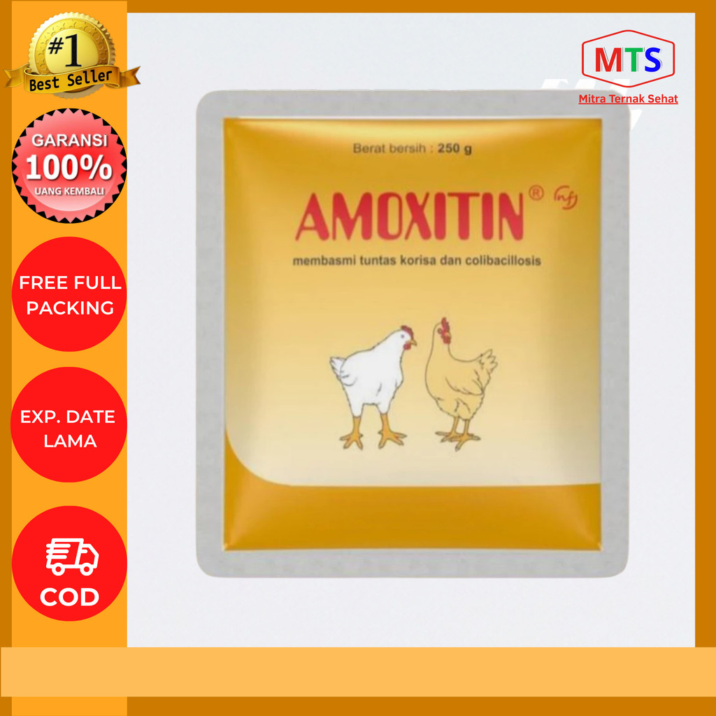 Amoxitin 250 gram MEDION obat korisa