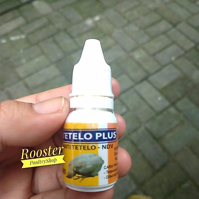 Obat Tetelo Plus Cair Obat Ayam Kena Telo Obat Tetelo Ayam