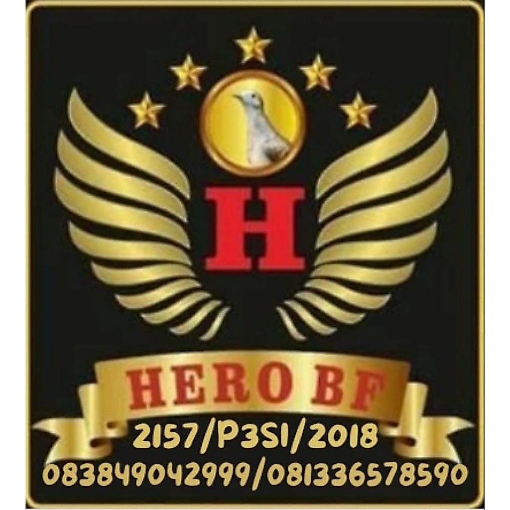 (1 ekr) PERKUTUT BANGKOK RING HERO SURABAYA USIA DEWASA ADA KITIR SILSILAH BURUNG TERDAFTAR P3SI 201