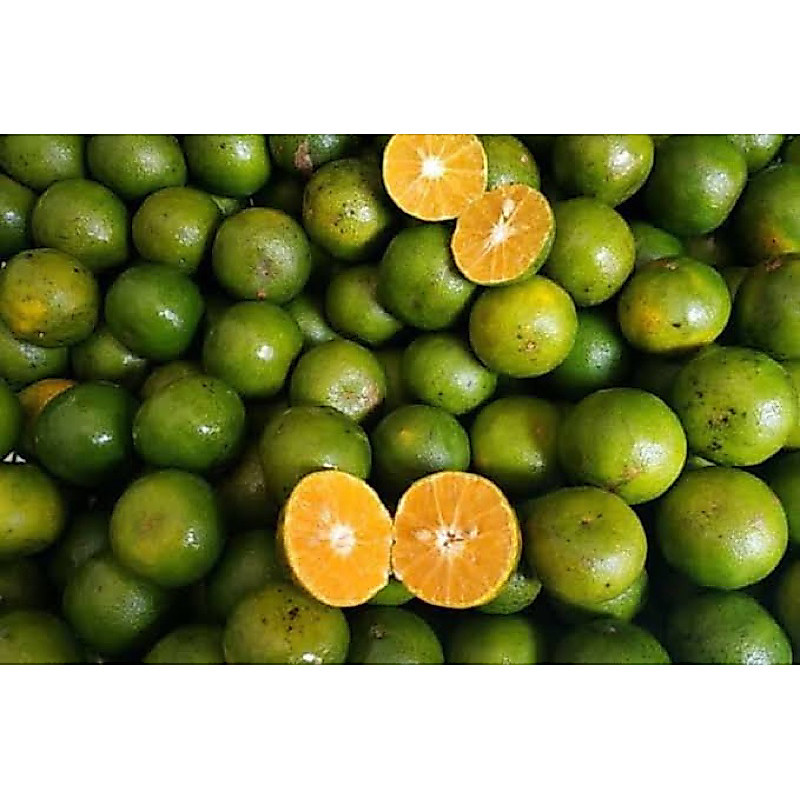 Jeruk Peras 250g - Omod SAyur Bandung