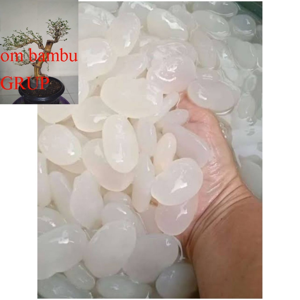 

Kolang-Kaling,Biji Aren Caruluk Segar & Fresh