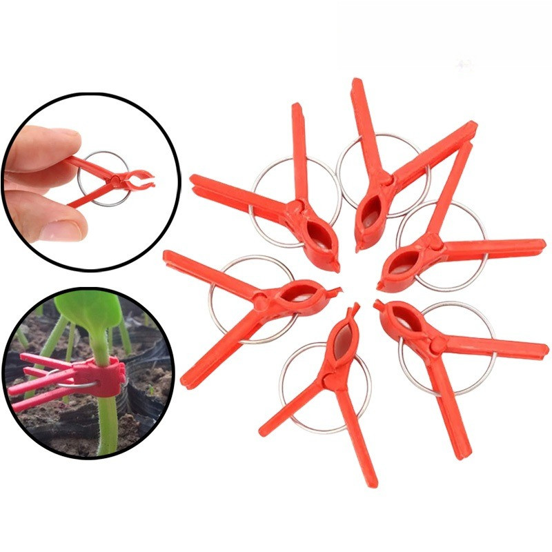 Japit merah jepot tanaman jepit Grafting Klip Merah Grafting Clip / Klip Okulasi / Penjepit Merah