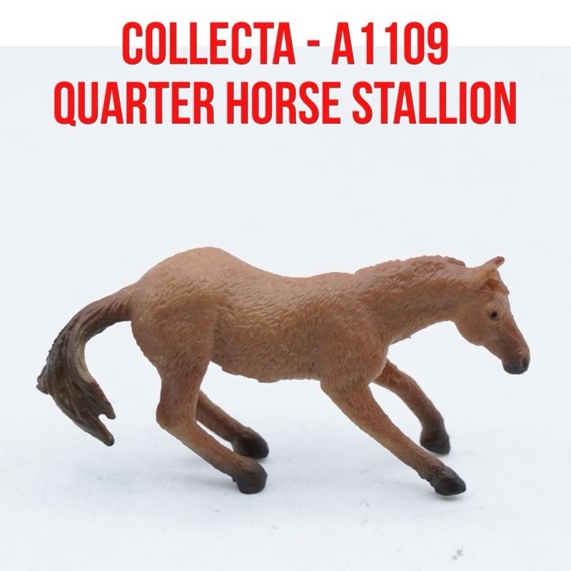 Collecta A1109 Mini Horses - Quarter Horse Stallion Horse Kuda Jantan Quarter Equus Caballus Mainan 